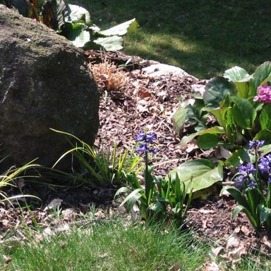 Gartengestaltung, Kirchdorf/Krems