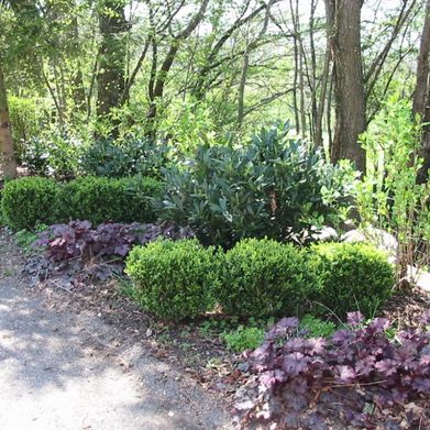 Gartengestaltung, Kirchdorf/Krems